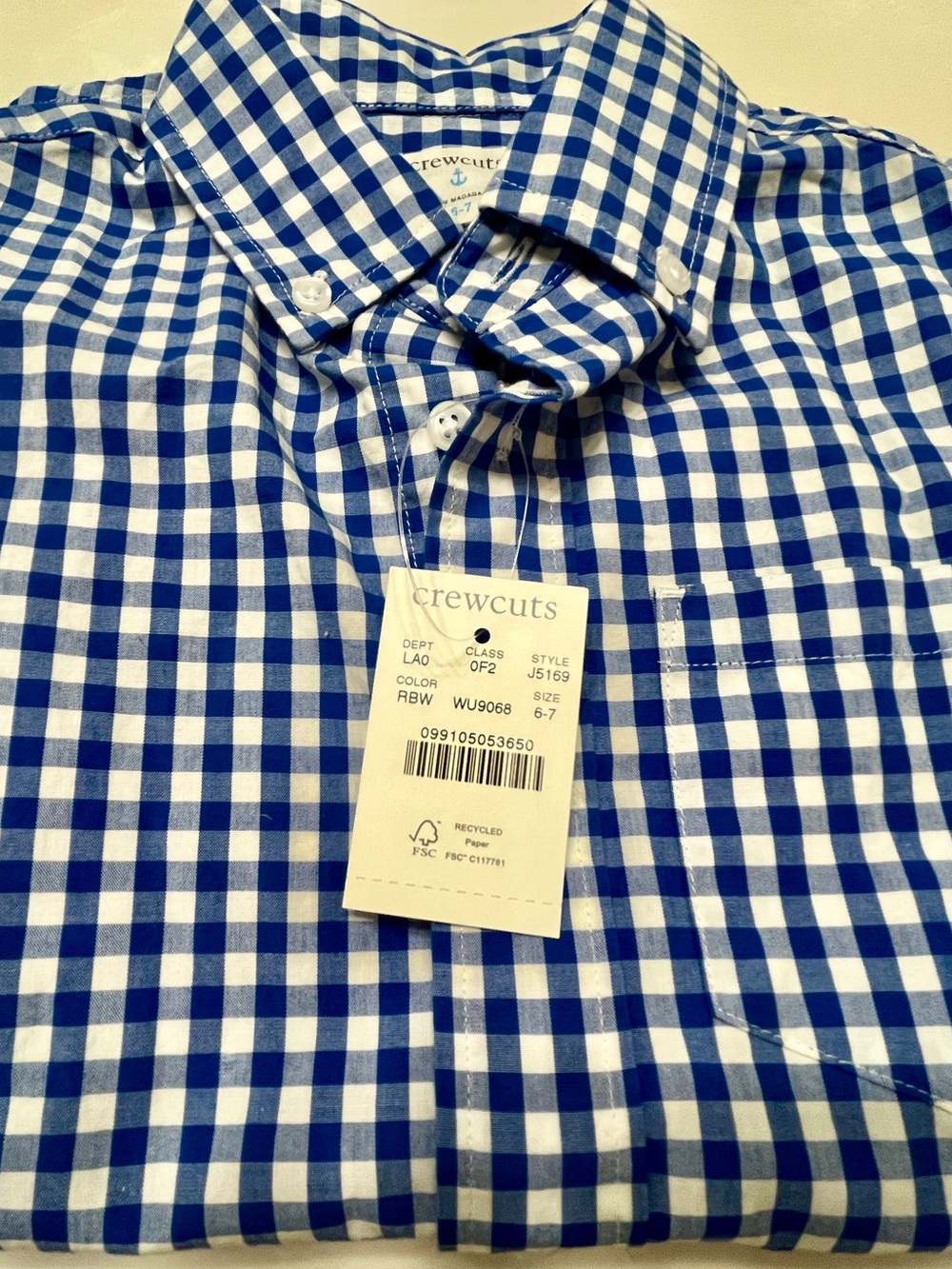 Crewcuts Blue and White Gingham Button-Down Shirt